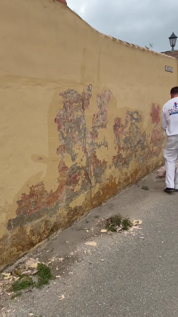 Pintor de Pinturas hermanos Carvajal junto a un muro exterior con la pintura levantada, antes de repararlo y pintarlo